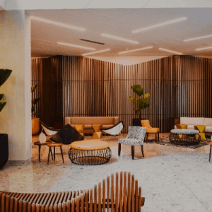 Skills Assessment Chart